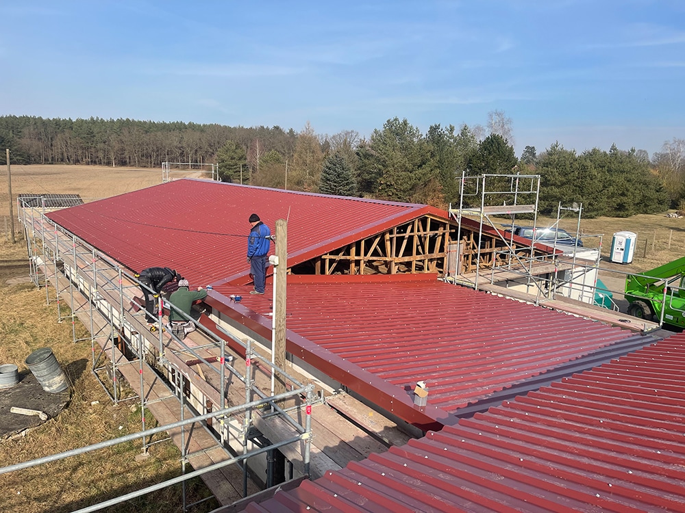 Dachneueindeckung mit rotem Trapezblech auf Landwirtschaftsgebäude, Baustelle mit Gerüst und Handwerkern